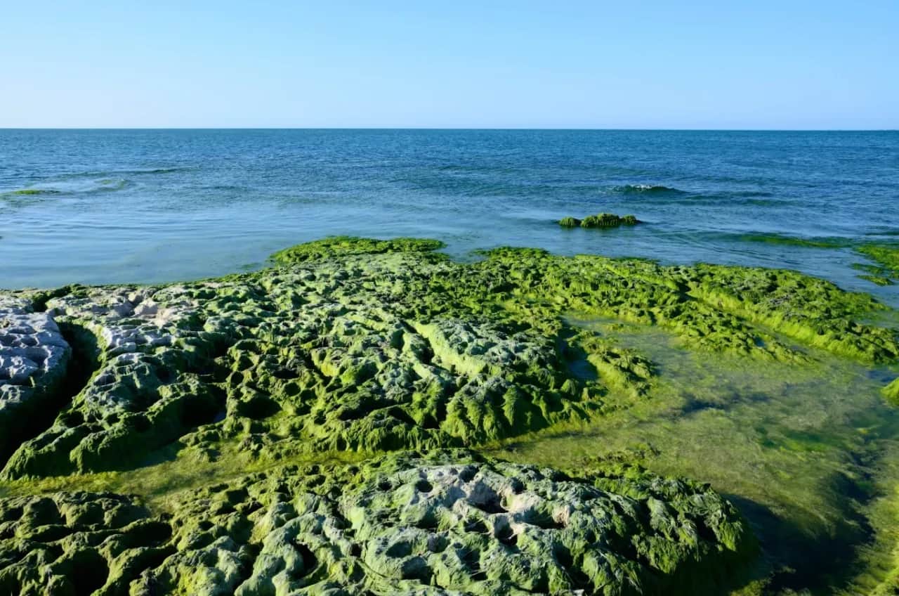 Gdzie leży Morze Kaspijskie? Przewodnik po największym jeziorze świata
