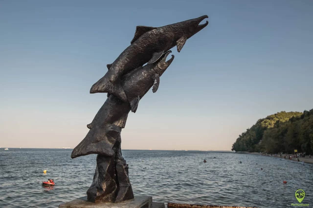 Gdynia co warto zobaczyć? Odkryj najlepsze atrakcje i smaki!