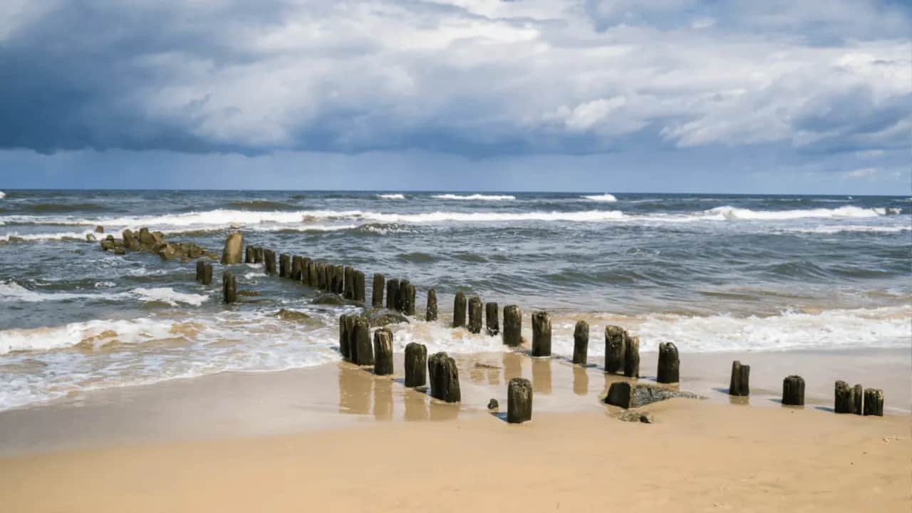 Sinice w Bałtyku: Gdzie zakaz kąpieli? Sprawdź mapę i objawy!